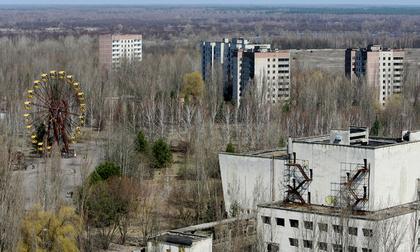 В Чернобыльской зоне сгорела треть туробъектов