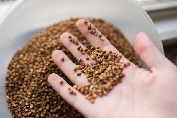 В Украине — госрегулирование цен на воду, гречку, сахар