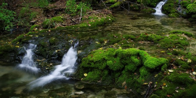 В Беларуси проходит акция «Расскажи о своем роднике»