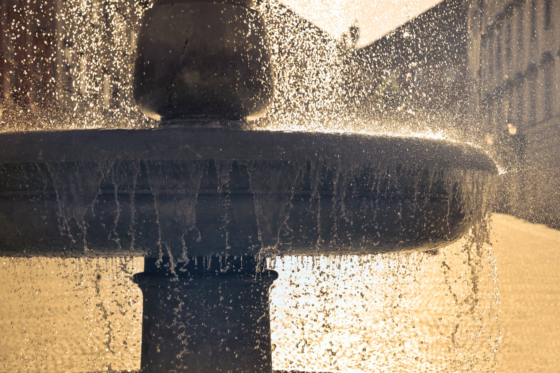 В Лондоне протестующие борются за права животных