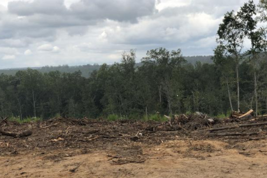 В Америке появится город для чернокожих