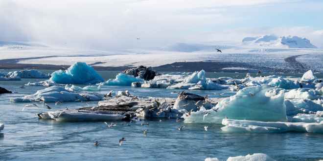 Арктический лёд тает из-за повышения температуры в мире