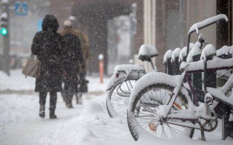 В Вильнюсе после метели дерево упало на бегуна