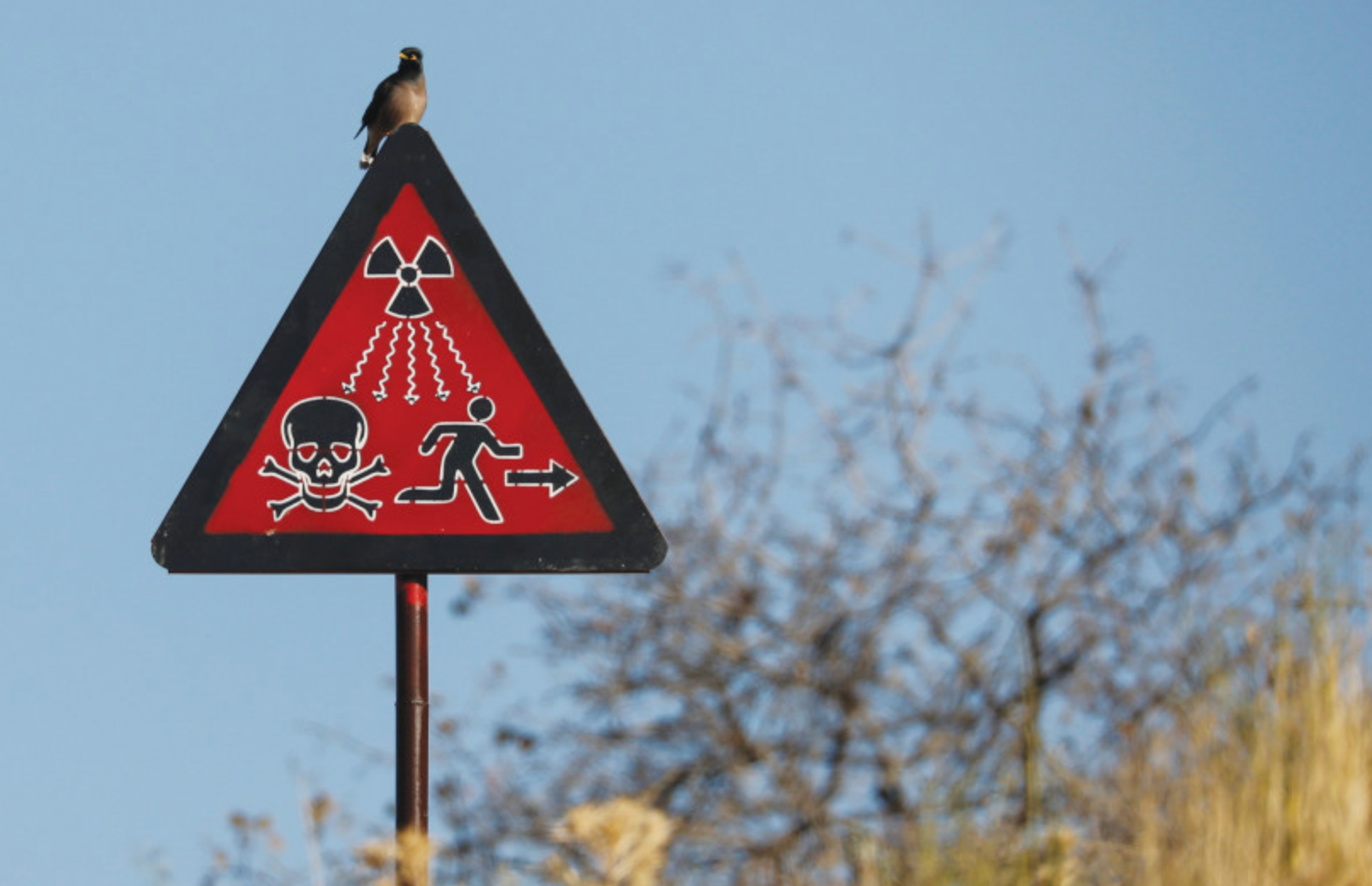 знак радиации, опасность