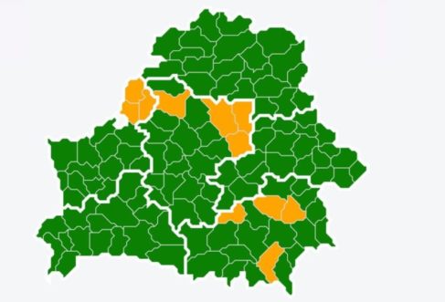 Снова введены запреты на посещение лесов