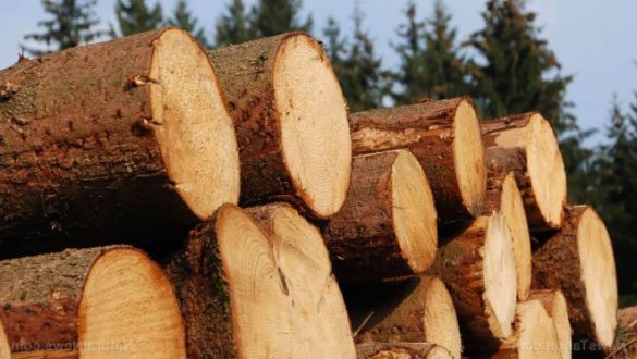 Беларусь продлила лицензирование товаров из Украины