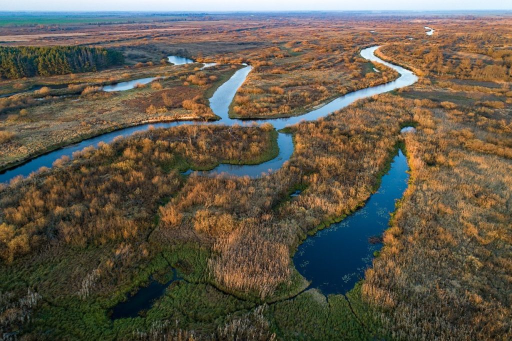 заказник Простырь, Беларусь