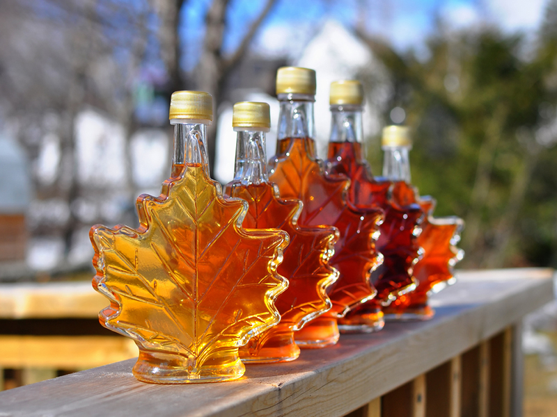 Канада столкнулась с нехваткой кленового сиропа