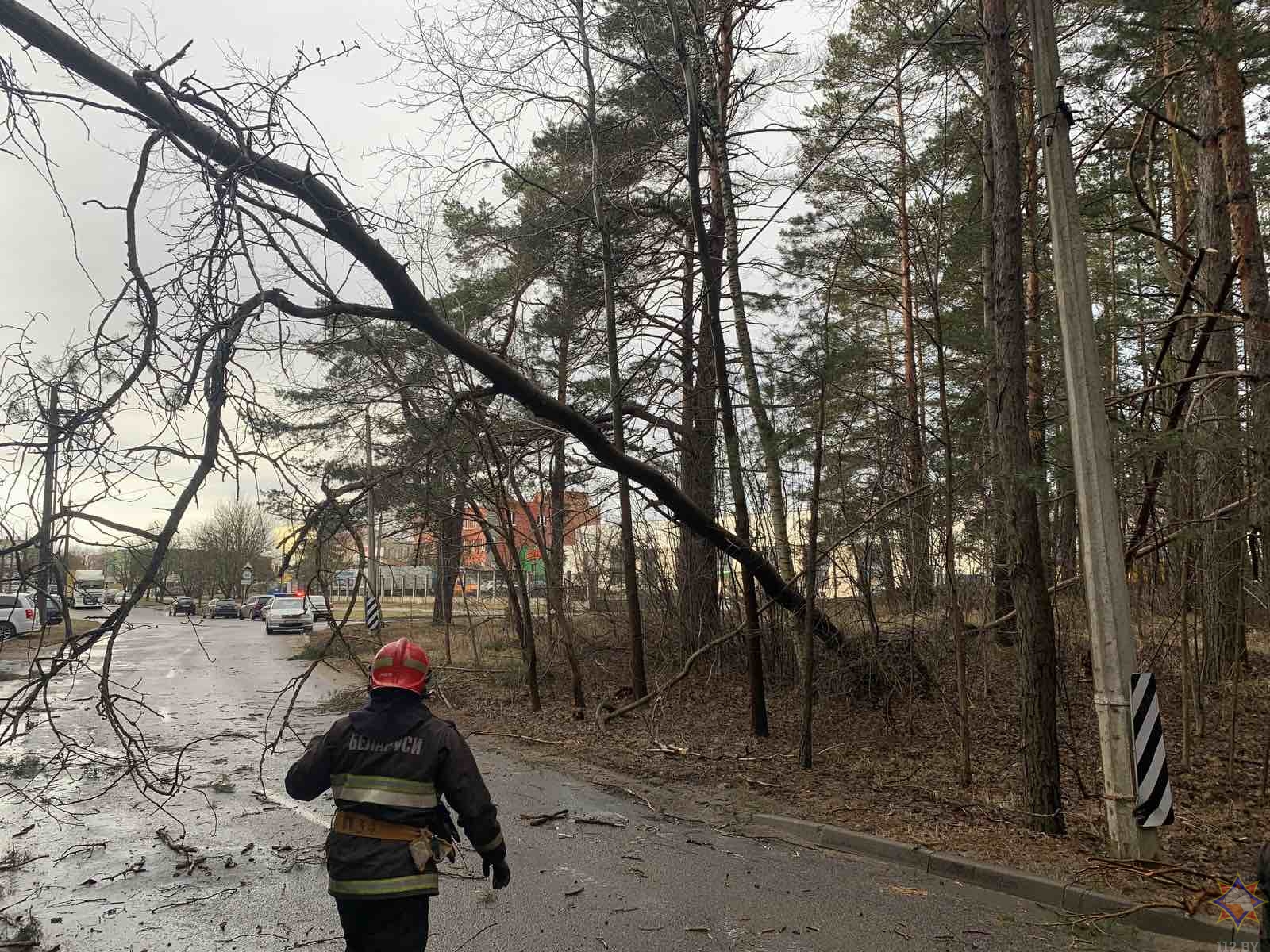 МЧС: восстановление после урагана продолжается