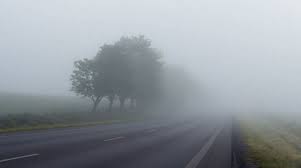 Теплая зима, длинное лето и дожди: какая погода ждет белорусов в будущем