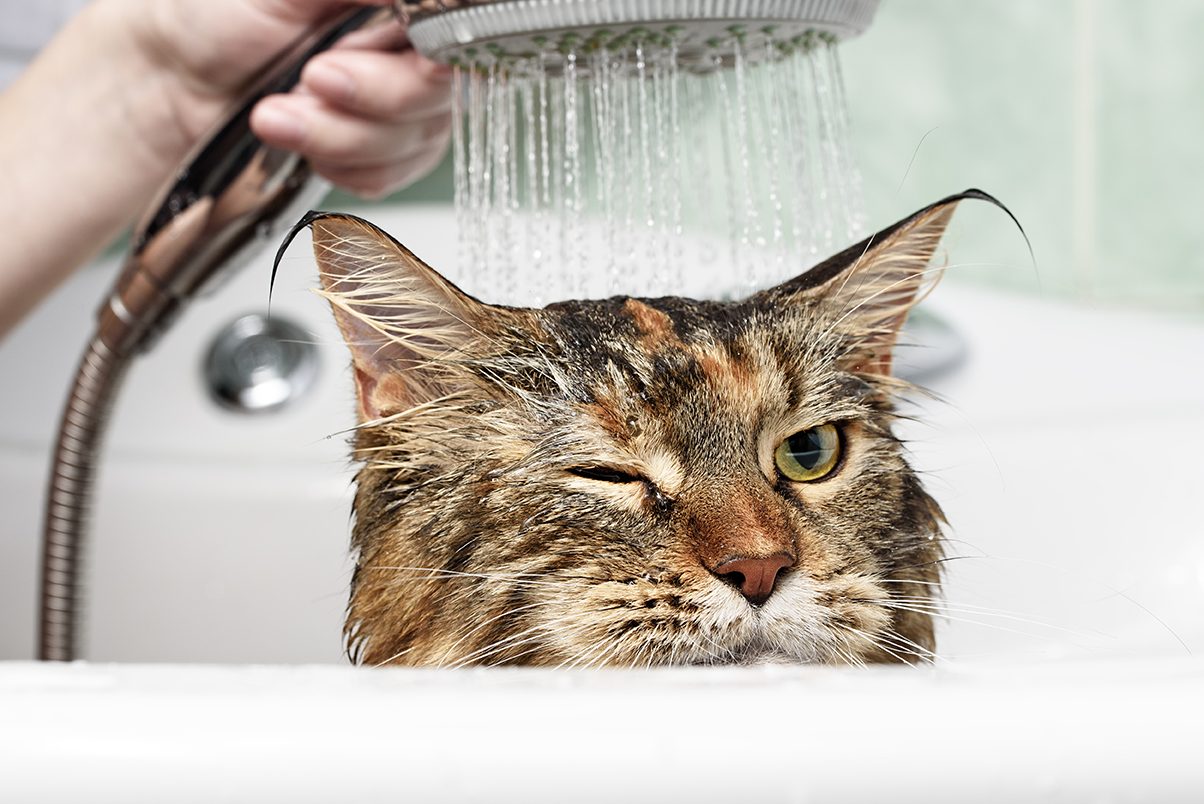 Отключение горячей воды в июне: кому из минчан приготовиться