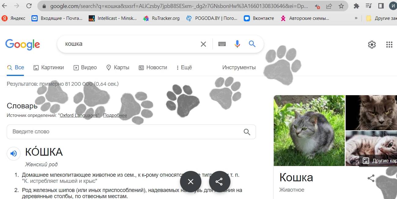 Google внедрила в свой поисковик 