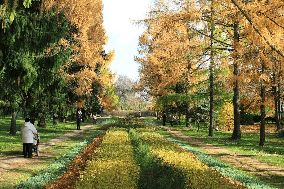 Сады беларуси беларусь минск