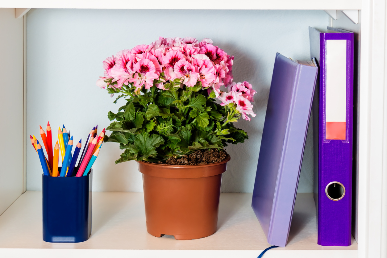 Shelf with folder, noteook, flower and pencil holder