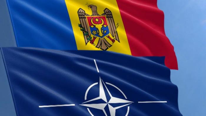 Молдова в НАТО или НАТО в Молдову?
