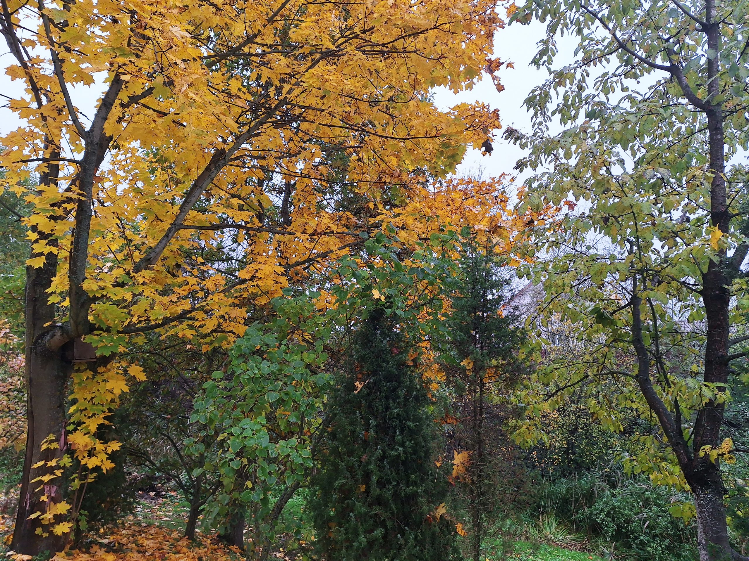 Ливни идут на Беларусь. ГАИ подсказала водителям, как быть на скользких дорогах