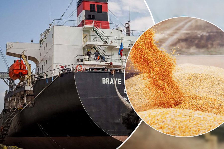 Опять зерновая сделка, кому она нужна?