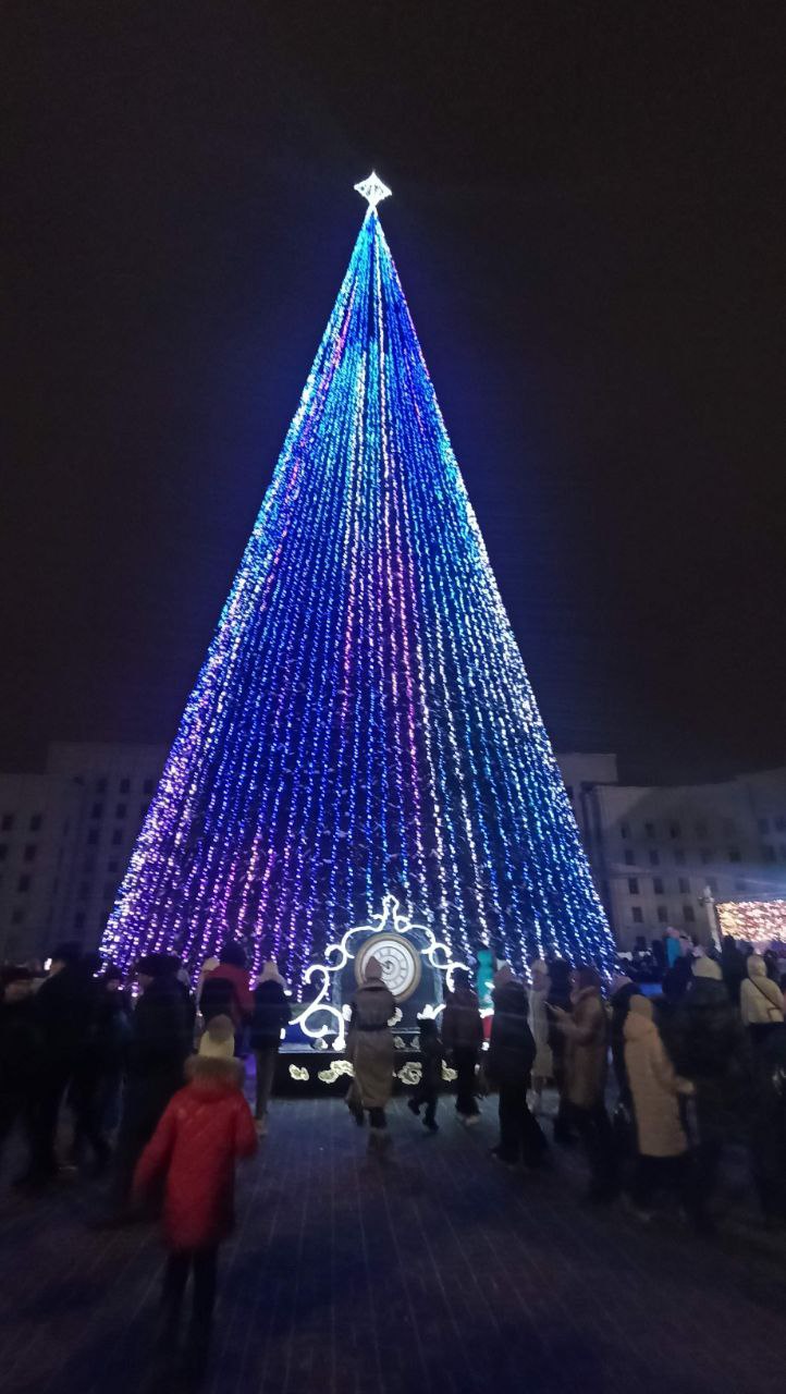 Самую высокую новогоднюю елку в Беларуси торжественно зажгли в Могилеве