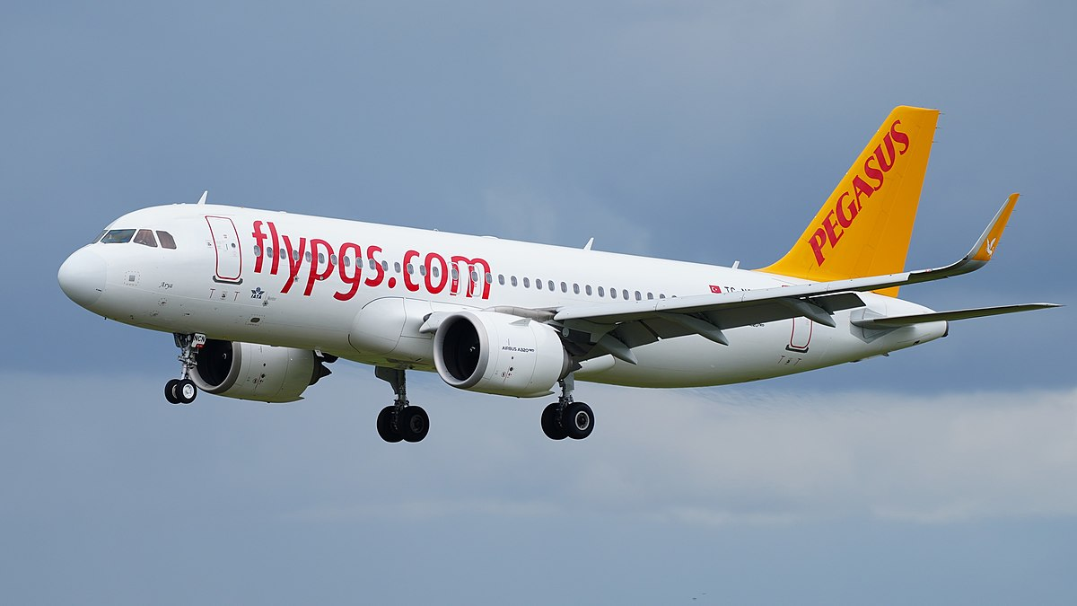 Pegasus Airlines изменит правила провоза ручной клади: за что придется  доплатить?