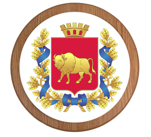 Первое заседание президиума Молодёжного парламента