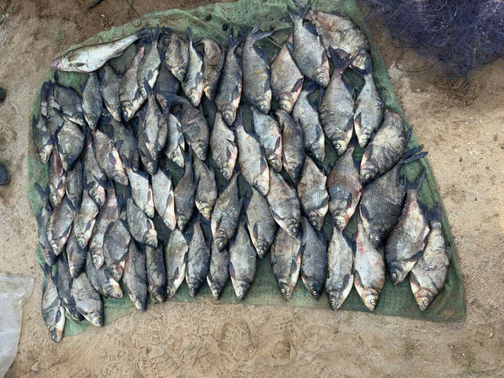 Рыбалка: меры и предосторожности и запреты ловли во время нереста