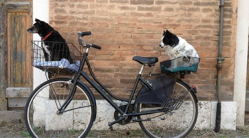 9 Мая День Победы: кого не пустят на мероприятия в Минске