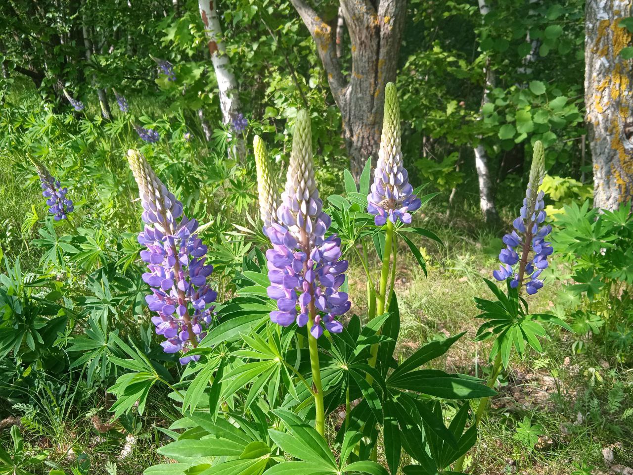 Непредсказуемая: Рябов дал прогноз погоды на неделю с 10 по 16 июня