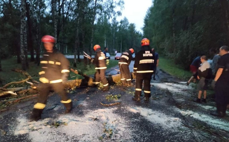 Могилевщина переживает последствия урагана