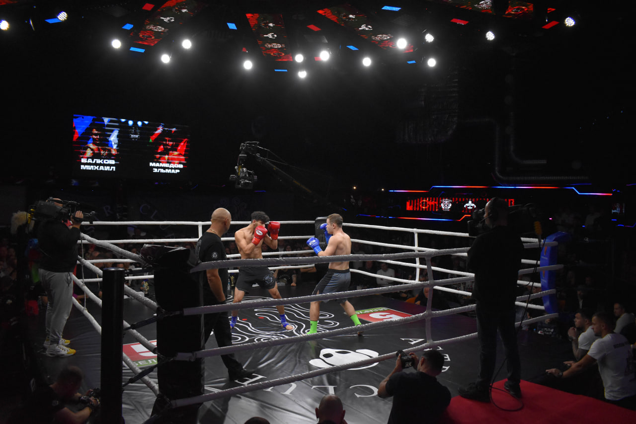 Спорт бои соревнования бокс таиландский бокс кикбоксинг ММА