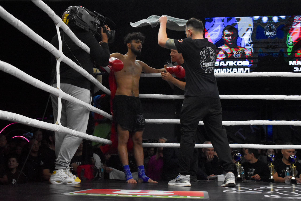 Спорт бои соревнования бокс таиландский бокс кикбоксинг ММА