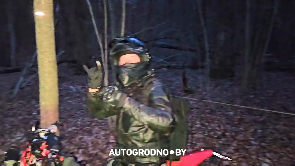 Металлическая проволока, натянутая между деревьями