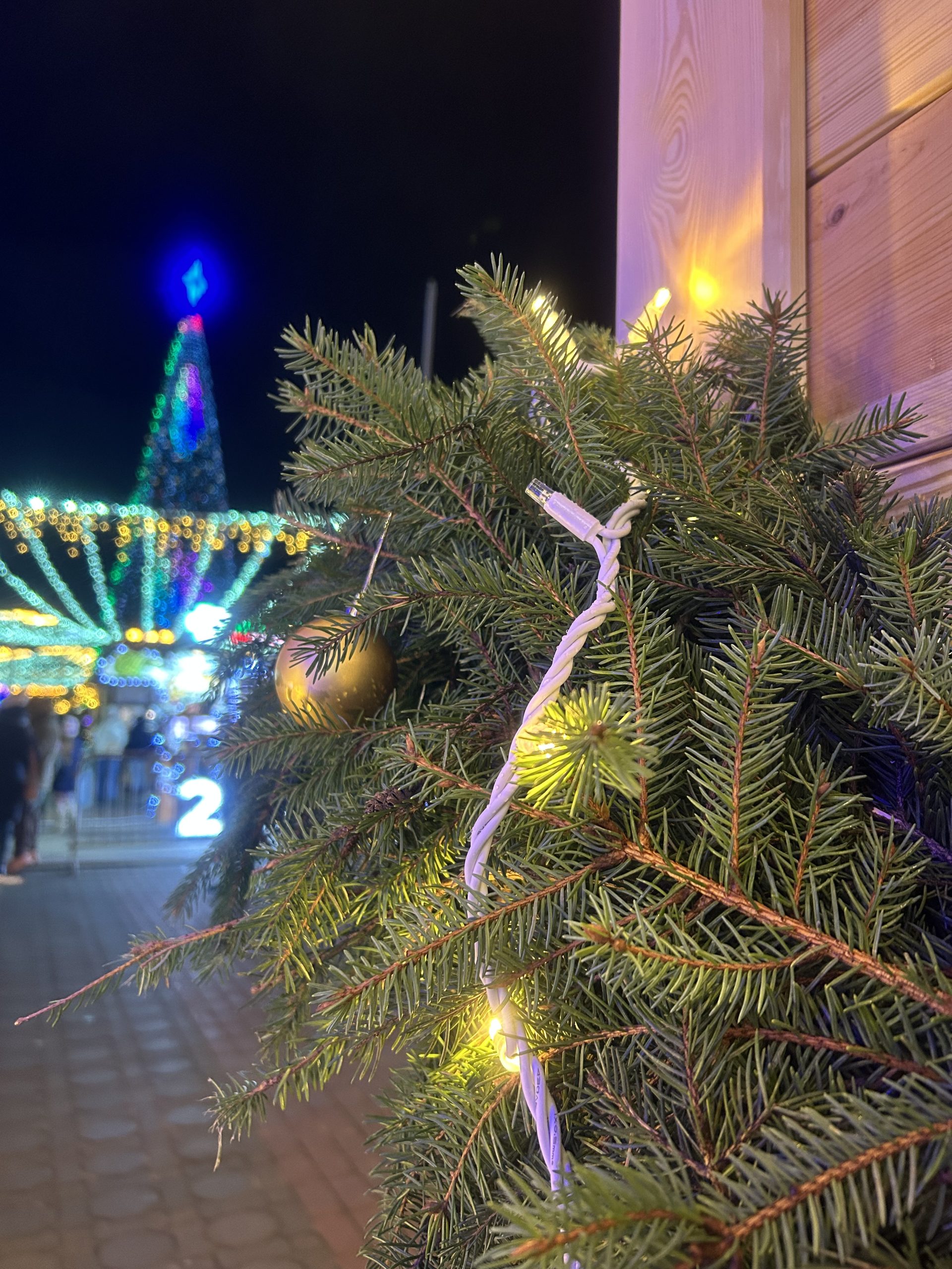 Дед Мороз приплыл на катере. В Гродно состоялось новогоднее шествие 