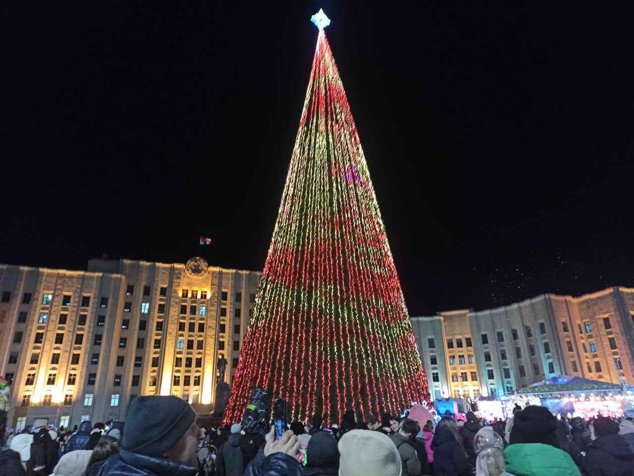 Огни на главной елке области зажгли в Могилеве