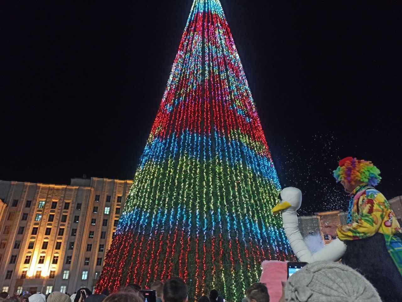 главная ёлка в Могилеве