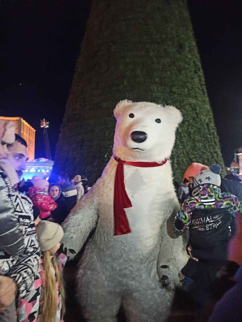 главная елка в могилеве