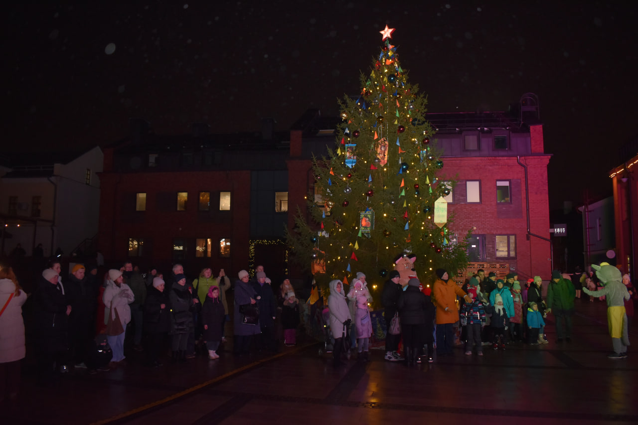 Раковский дворик новогоднее представление (15)