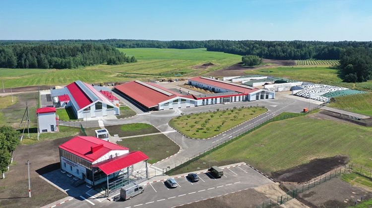 Молоко «Экстра» из будущего: как роботизированный комплекс «Мазоловогаз» меняет АПК Беларуси