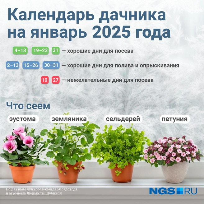 Календарь посева растений