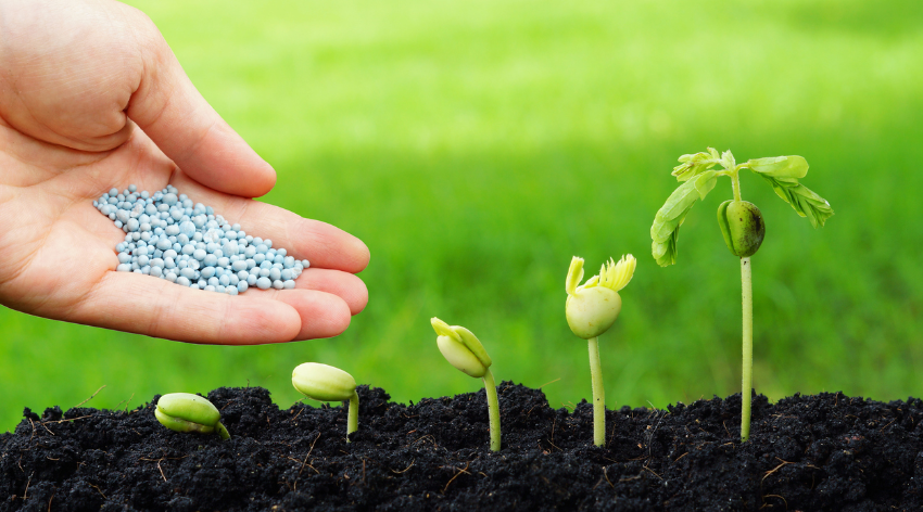 Удобрения и средства защиты растений