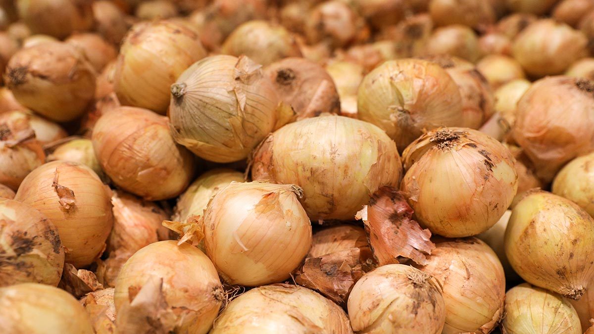 как выбрать Лук