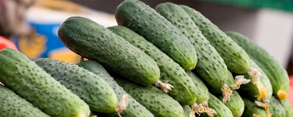 как выбрать огурцы