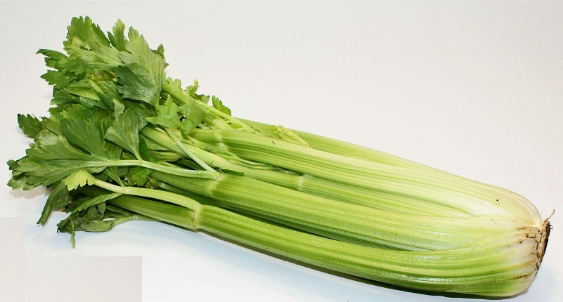 как выбрать Сельдерей