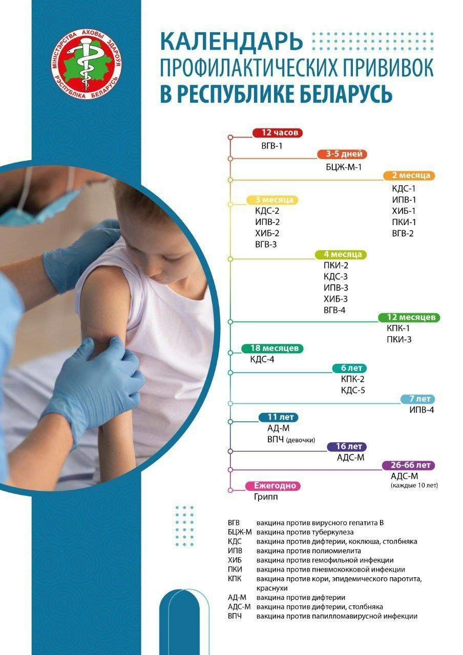 Новые прививки в Беларуси: что изменилось с 2025 года