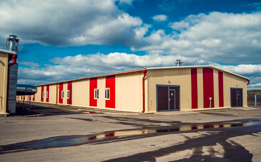 рыба, Лохва