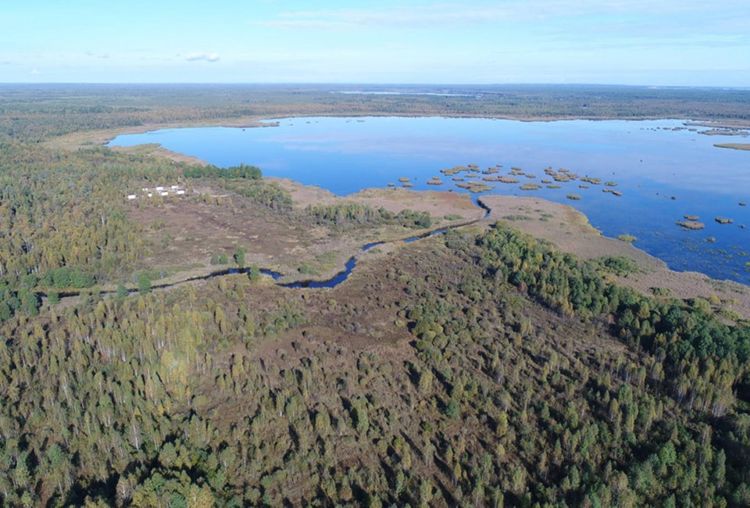 Березинский биосферный заповедник
