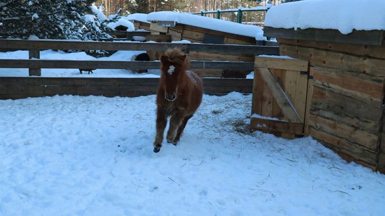 Березинский биосферный заповедник