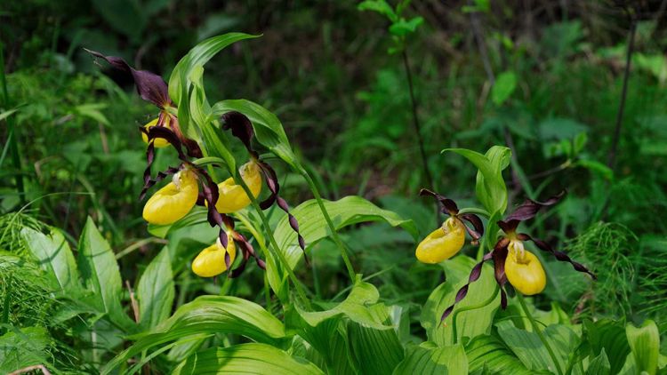 Березинский биосферный заповедник