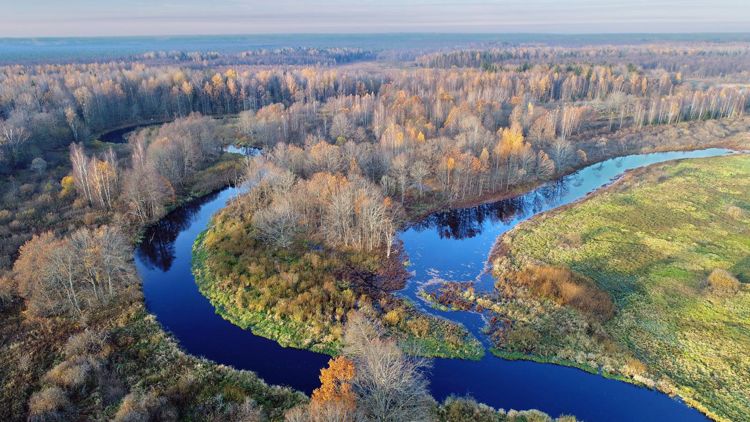 Березинский биосферный заповедник