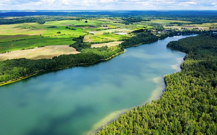 запрет на лов щуки на Витебщине