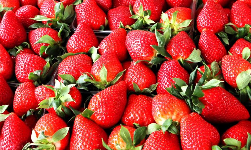 клубника Брест